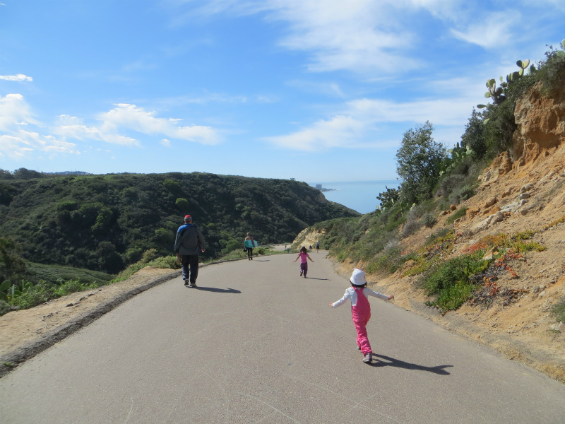 Scripps Coastal Reserve_b0257088_1519379.jpg