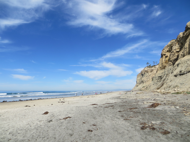 Scripps Coastal Reserve_b0257088_1528233.jpg