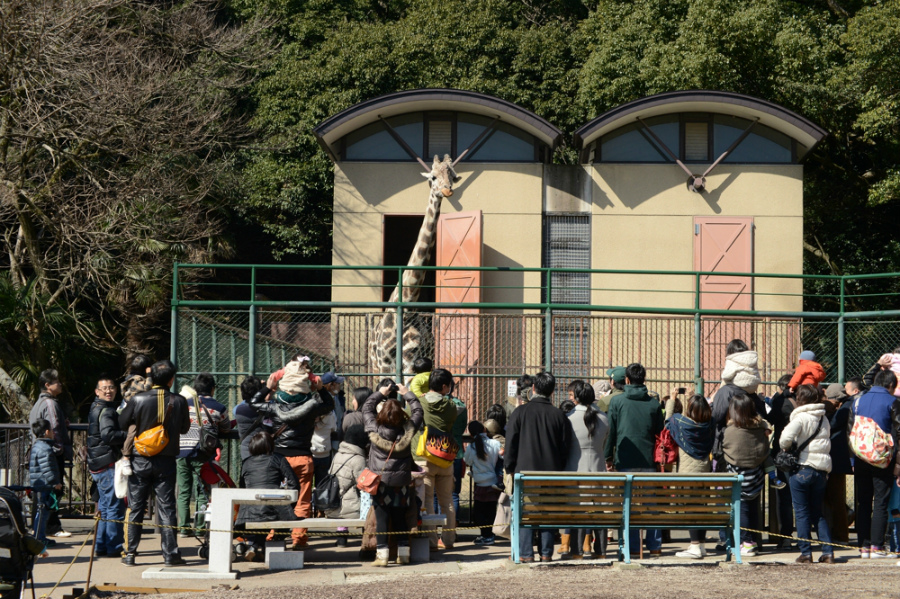 福岡市動物園　-2-_c0235188_1833292.jpg