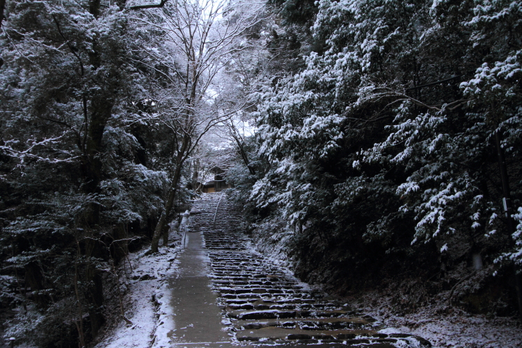 神護寺_e0051888_20462256.jpg