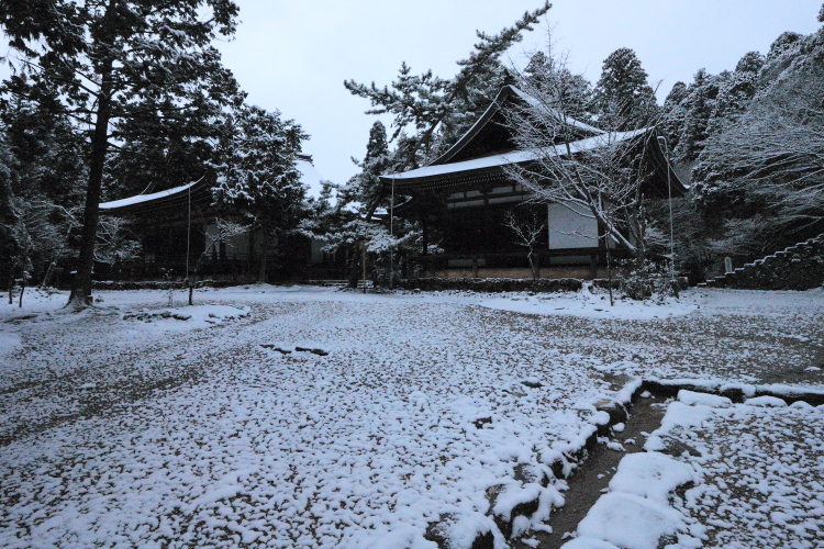 神護寺_e0051888_2047389.jpg