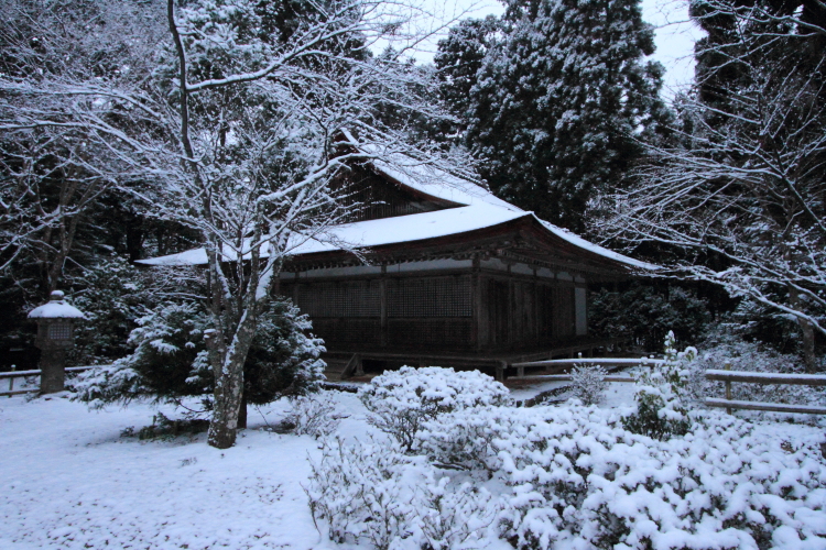 神護寺_e0051888_20482444.jpg
