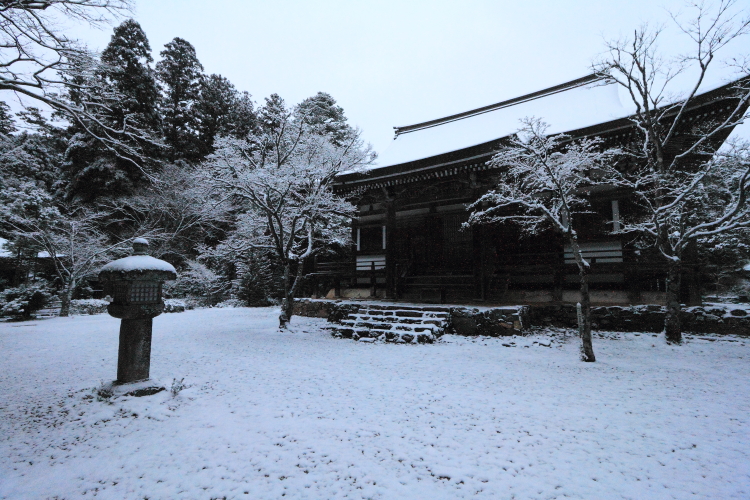 神護寺_e0051888_2048868.jpg