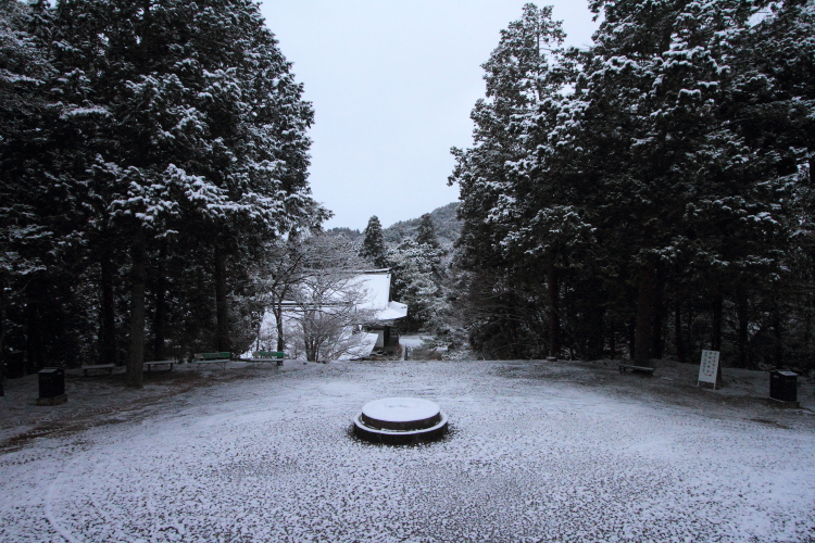 神護寺_e0051888_20494556.jpg