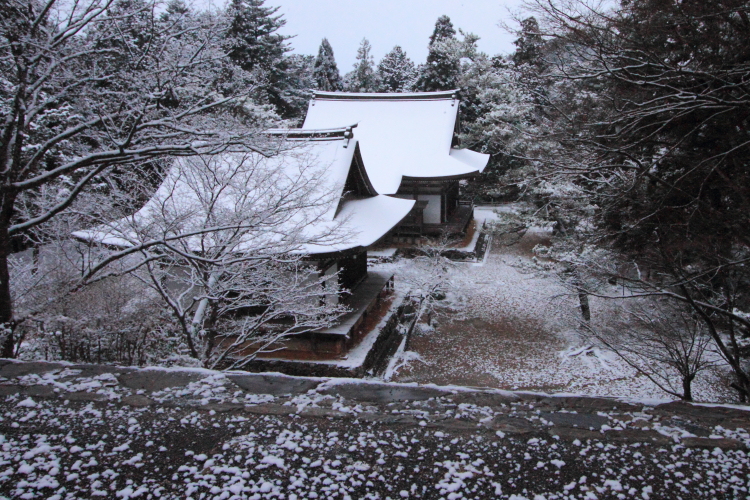 神護寺_e0051888_20501742.jpg