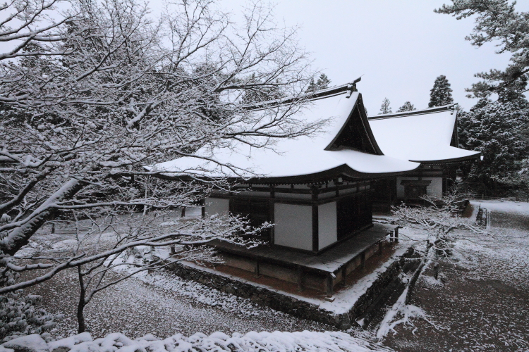 神護寺_e0051888_20504157.jpg