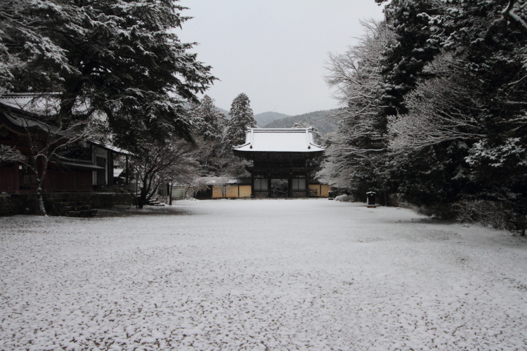 神護寺_e0051888_20522390.jpg