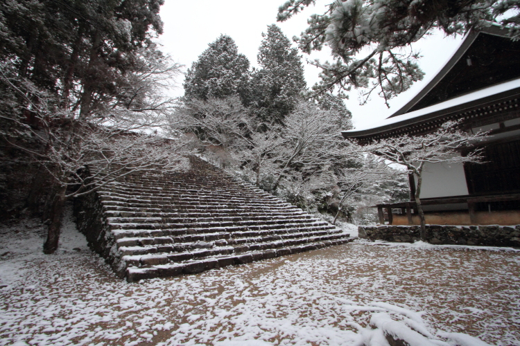 神護寺_e0051888_20525979.jpg