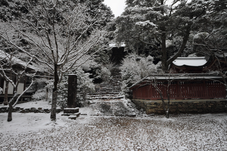 神護寺_e0051888_20533435.jpg