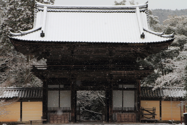 神護寺_e0051888_20535967.jpg