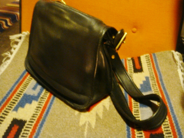 COACHとPOUCH_c0172392_18401085.jpg