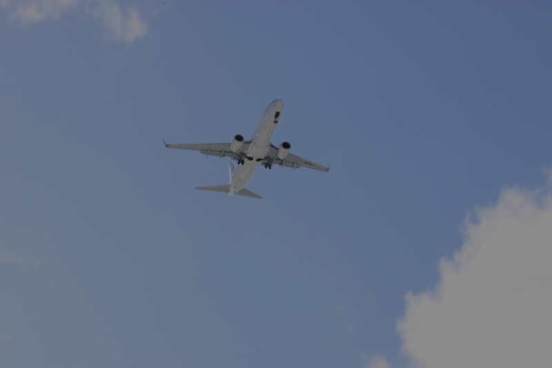 b0138798_0323097.jpg