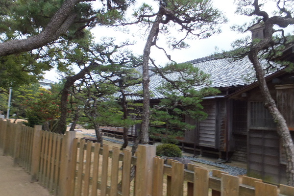 d0080998_04515.jpg