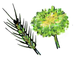e0248598_1852946.png