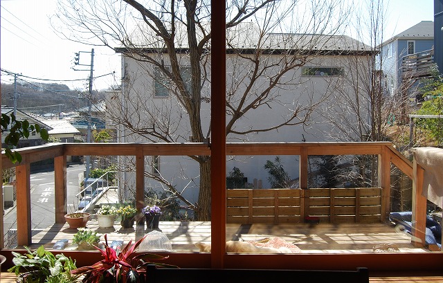 2月の庭…_c0124100_18322934.jpg