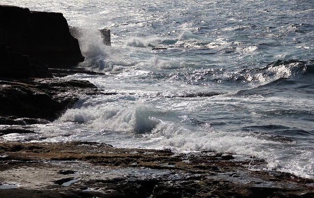 a0123003_19515652.jpg