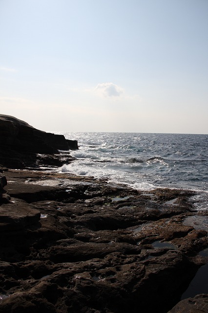 a0123003_1951842.jpg
