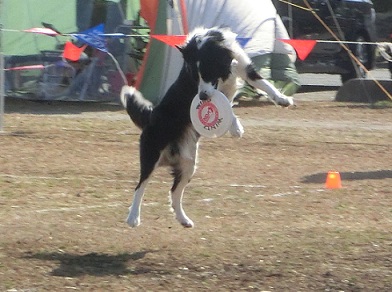 NDA秋ヶ瀬大会　　～ 大会の様子＆お友達編 ～_a0200311_122481.jpg