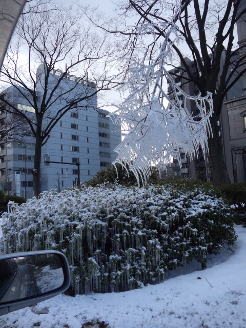 f0226713_13371079.jpg