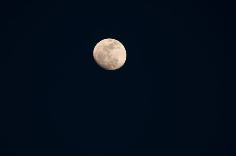 a0278914_1742754.jpg