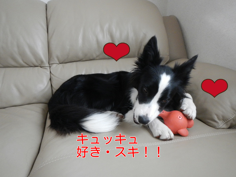 a0232619_16532166.png