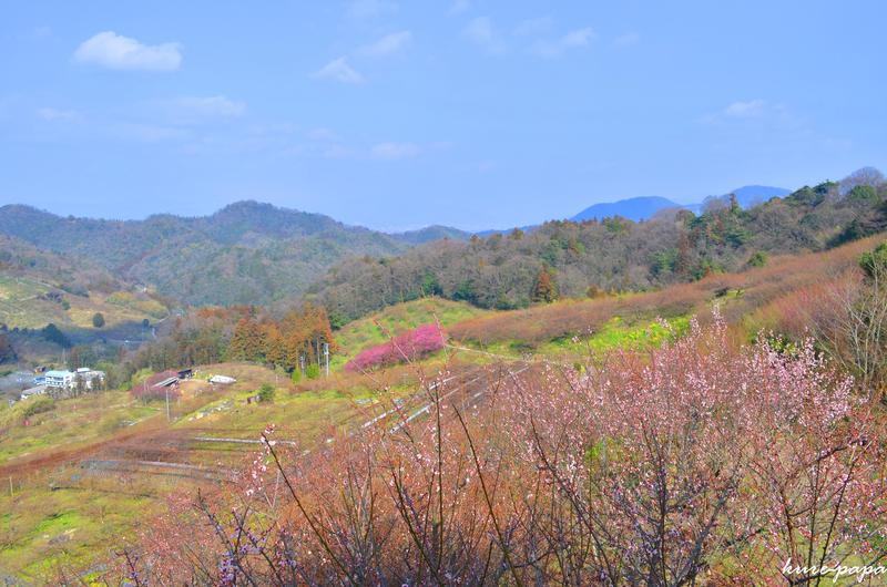 b0279623_012277.jpg