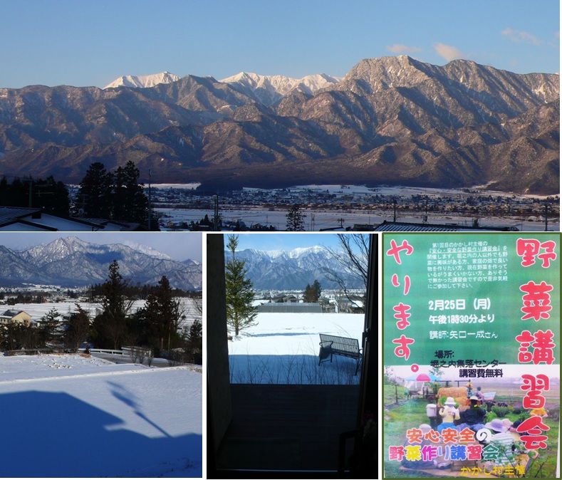 かかし村の野菜講習会_a0212730_1962696.jpg