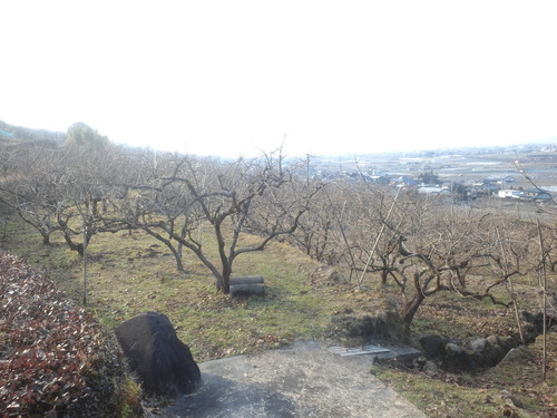 a0169558_20331388.jpg