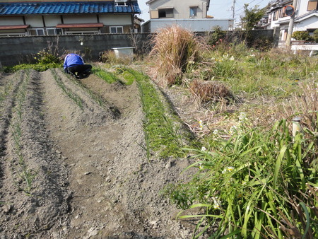 c0108460_17261497.jpg