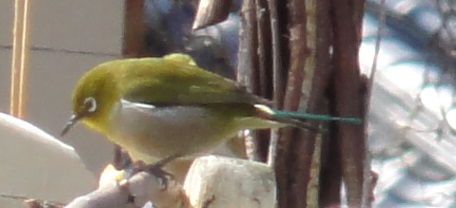 c0108460_1727175.jpg
