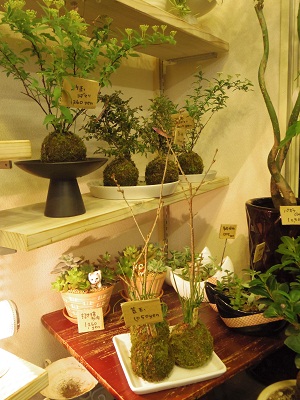 c0198560_1841817.jpg