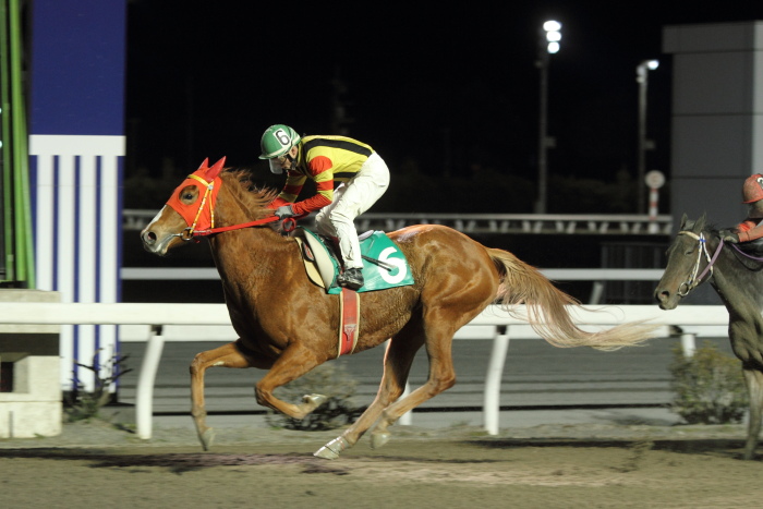 倉兼育康騎手、地方通算勝利1500勝達成!!_a0077663_8562434.jpg