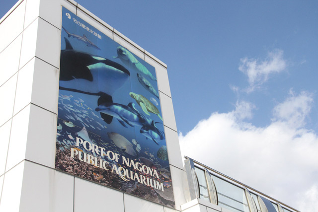 名古屋港水族館へ行きました 自転車趣味 A