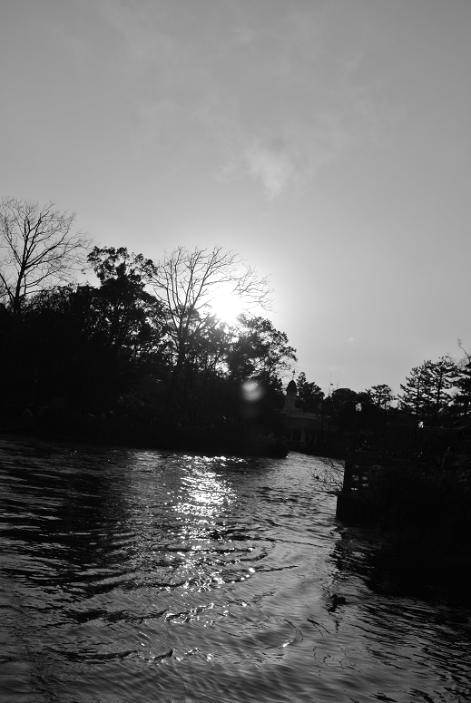 e0198877_1154516.png