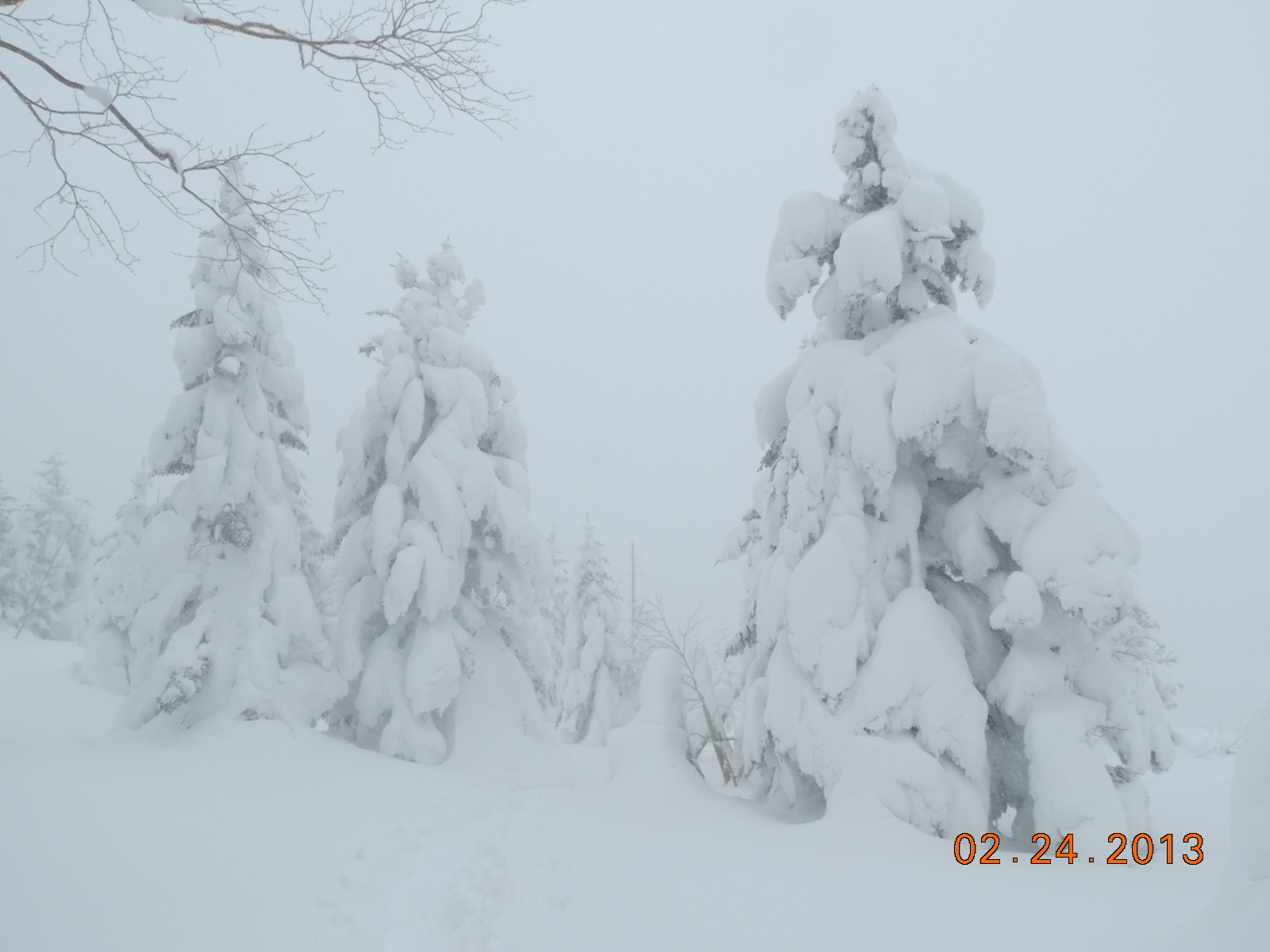 Ｎｏ．0969　雪山カンジキ歩きその③　浦倉山_f0104277_20264979.jpg