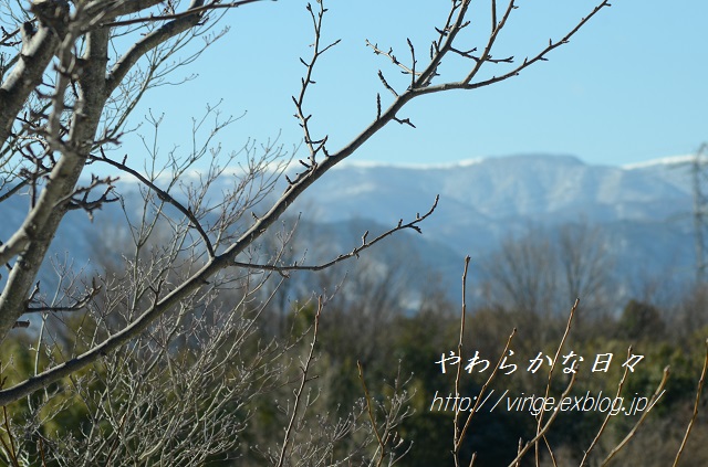 a0158478_95781.jpg