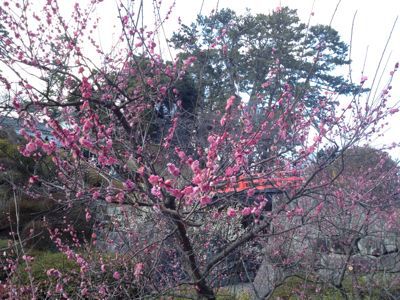 芦ノ湖東岸（３月のコースの一部です） 2013.2.25_d0262778_14231289.jpg