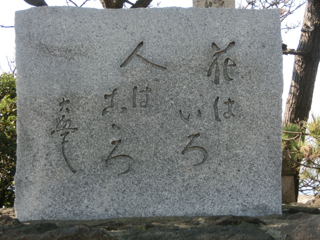 《千貫松》_d0249579_1553091.jpg