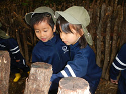 c0194485_1014124.jpg