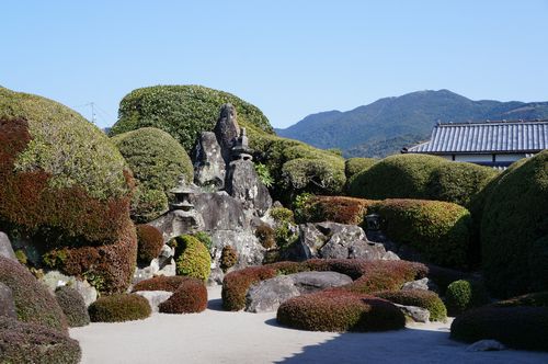 e0241093_83378.jpg