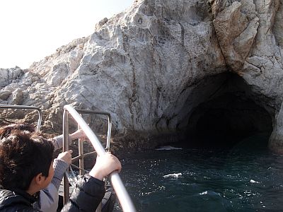 e0198197_1627861.jpg