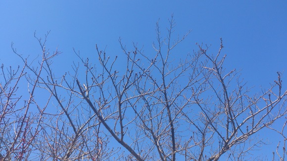 e0063902_18224596.jpg