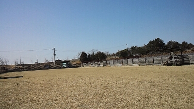a0040103_8494886.jpg
