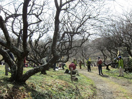 歩け歩け協会ふれあいウォーク－十二所果樹園～逗子+ビブリアロケ地(2013.02.26)_e0245404_2129984.jpg