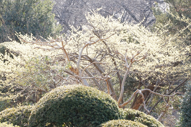 b0112909_20342590.jpg