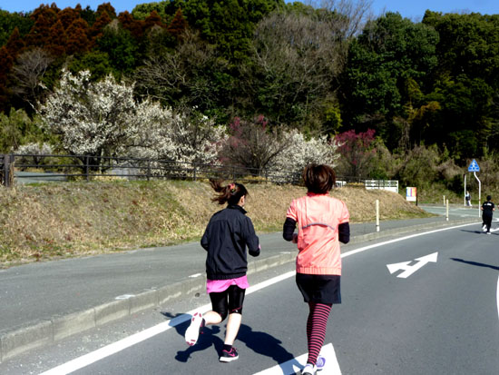 熊本県大津町 ジョギングフェスティバル1_e0048413_194452.jpg