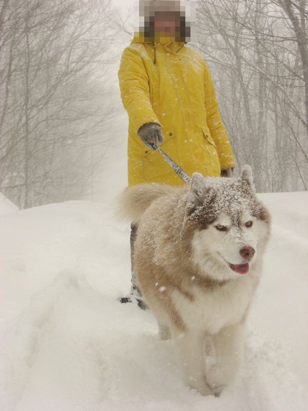 雪のレジーナの森へLet\'s go!! -3_b0207615_2272349.jpg