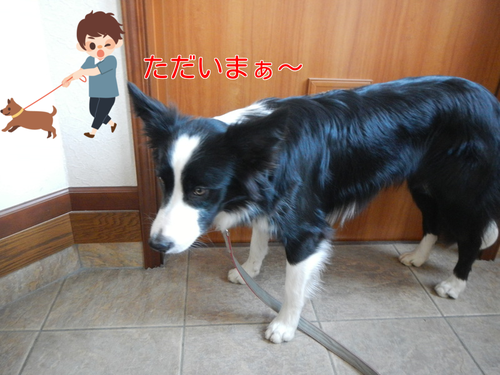 a0232619_1134841.png