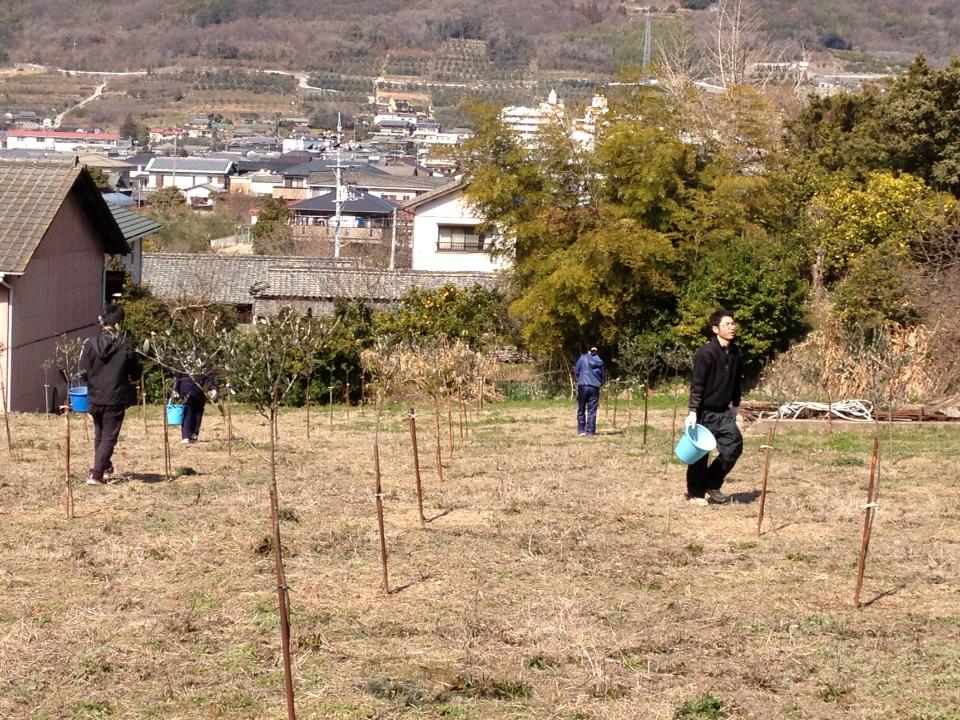 f0142721_17312981.jpg