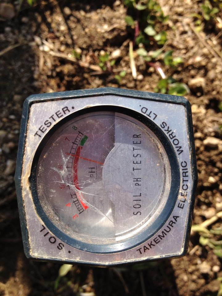 f0142721_1845531.jpg